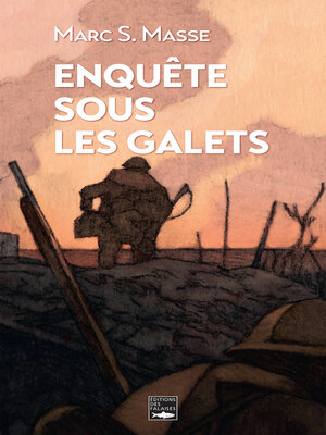 cover image of Enquête sous les galets: Polar